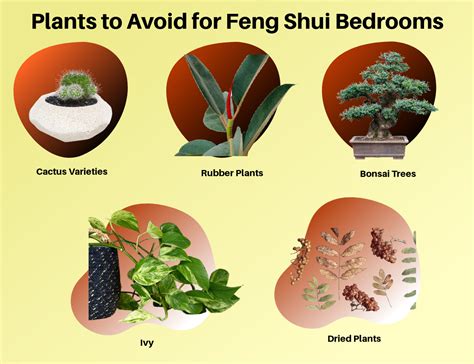 風水英文名|“风水”的英文翻译为何直接叫“feng shui”？